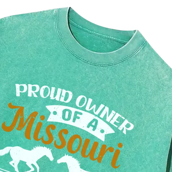 Proud Owner Missouri Fox Trotter Horse Washed Tshirts Gift For Friends