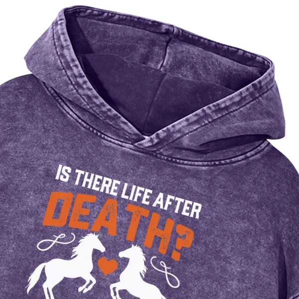 Is There Life After Death Washed Pullover Hoodie Gift For Friends