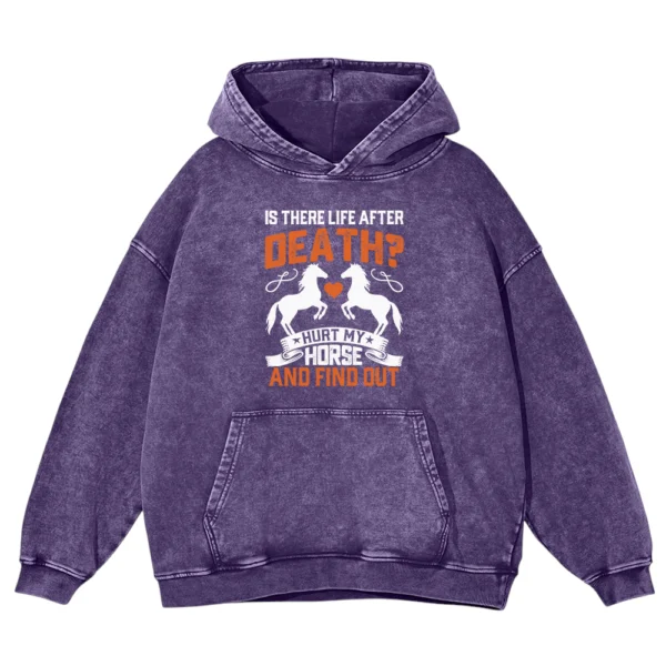 Is There Life After Death Washed Pullover Hoodie Gift For Friends