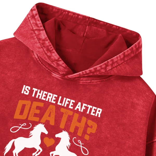 Is There Life After Death Washed Pullover Hoodie Gift For Friends
