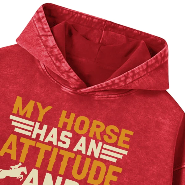 My Horse Has An Attitude And So Do I Washed Pullover Hoodie Gift For Friends