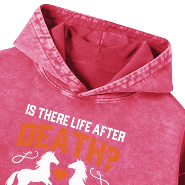 Is There Life After Death Washed Pullover Hoodie Gift For Friends