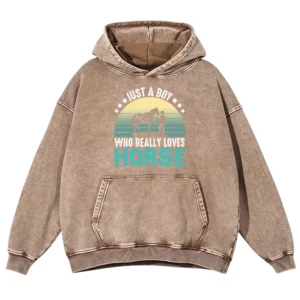 Just A Boy Who Really Loves Horse Washed Pullover Hoodie Gift For Friends