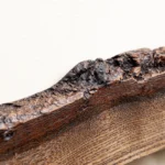 The Oak Horizon – Handcrafted Live Edge Magnetic Knife Gallery