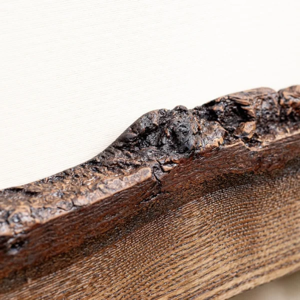 The Oak Horizon – Handcrafted Live Edge Magnetic Knife Gallery